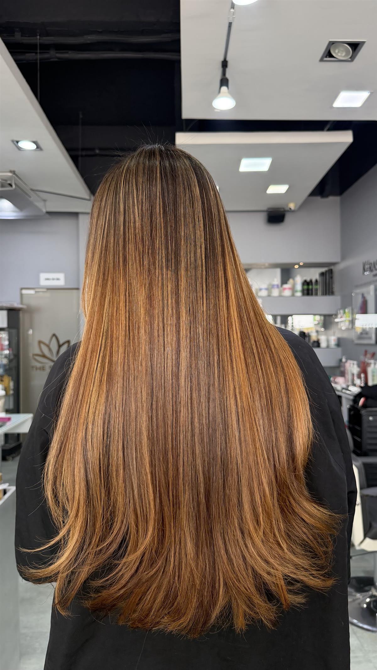 Cabello largo con reflejos cobrizos visto de espaldas